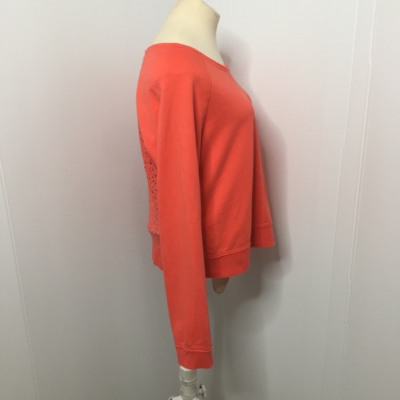 Coral Lace Sweatshirt - Picture 4 of 8